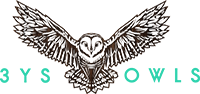 3YS Owls Company Secretary and Governance Consultant Governance Top 100 Partner